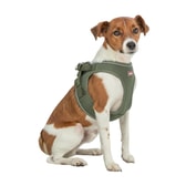 Trixie UrbanVest hundabeisli – ólífugrænt XS-S – mynd 2