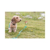 Garðfesring spírall stakur 40cm – mynd 4