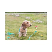 Garðfesring spírall stakur 40cm – mynd 5