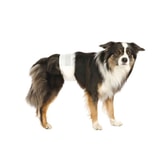 Trixie rakkabindi einnota S-M – 30-46 cm 12 stk – mynd 3