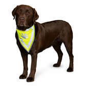 Trixie Safer Life hálsklútur – XS–S 22–28 cm – mynd 2