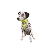 Trixie Safer Life hálsklútur – XS–S 22–28 cm – mynd 3
