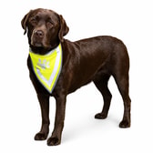 Trixie Safer Life endurskinsklútur – S–M 29–42 cm – mynd 2