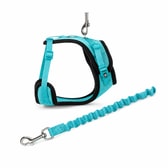 Trixie Y-beisli úr neti fyrir ketti með taum – 39–60 cm – mynd 1