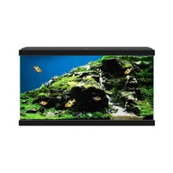 Fiskabúr Aqua 60 Black