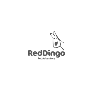 RED DINGO