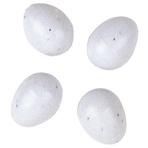 Ferplast plastegg fyrir fugla – 4 stk (4310)