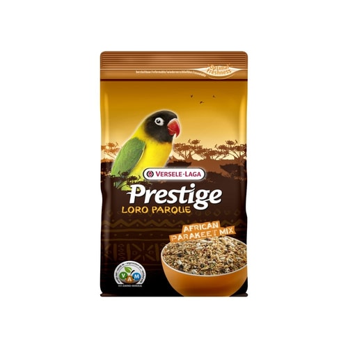 African Parakeet Loro 1 kg.