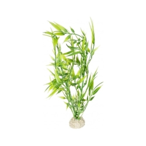 Fiskabúraskraut Bamboo 27cm