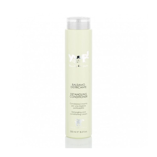 Structure & Detangle Condition 250Ml J04-4