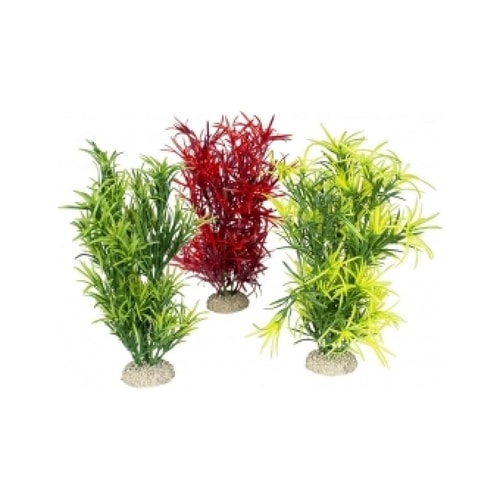 PLANT HYDRILLA L - height 27cm