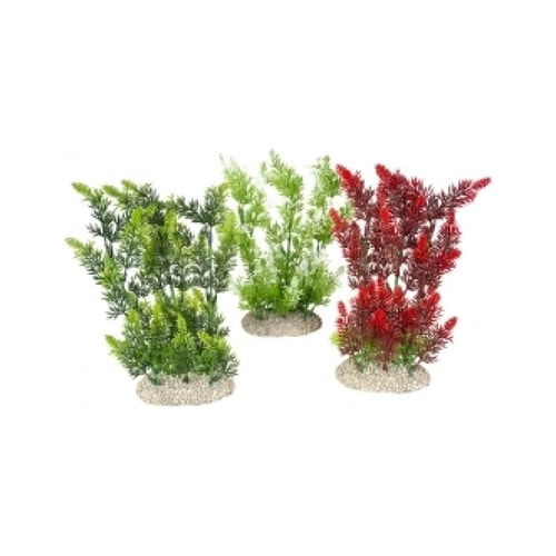 PLANT ELODEA DENSA L - height 25cm 6