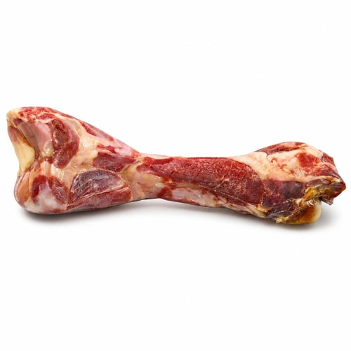 Camon skinkubein – Femur, 390 g