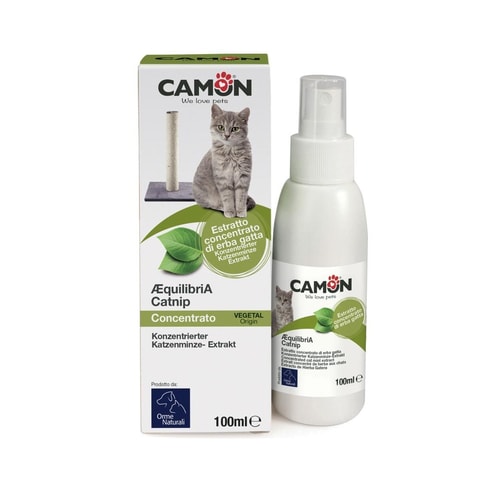 CATNIP 100ml