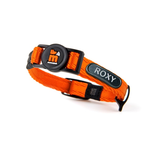 Memopet Id Polyester Collar Orange 1.0 – 20/30 Cm – Cat Size with ID Tag