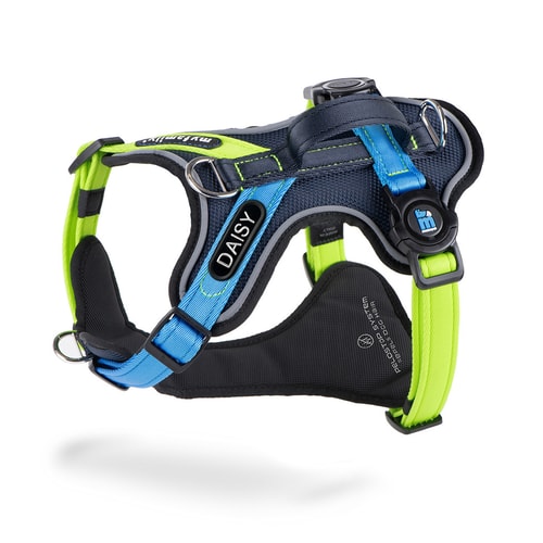 H-Harness With Handle Memopet Id Polyester Teal 1.2 – Size XS with ID Tag