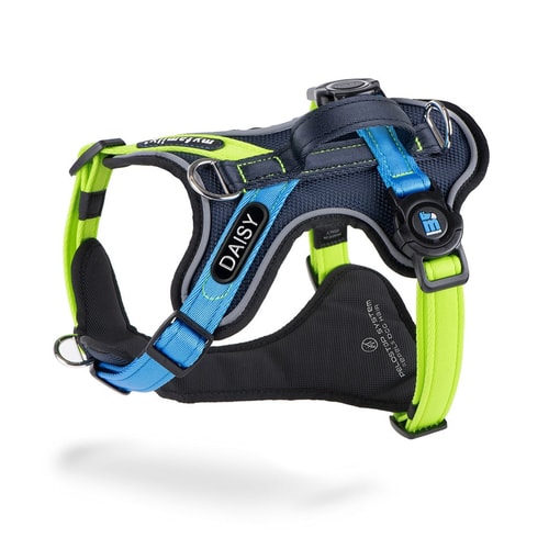 H-Harness With Handle Memopet Id Polyester Teal 2.8 – Size XL with ID Tag