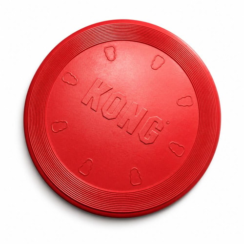 Kong Flyer frisbí – Small