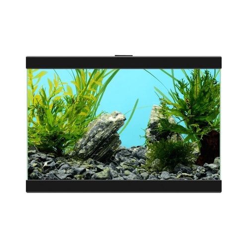 Aqua 15C Black 1