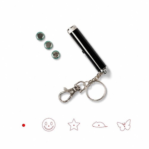 Laser Pointer Catch The Light
