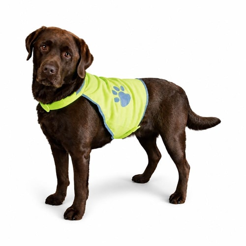 Safety vest for dogs L