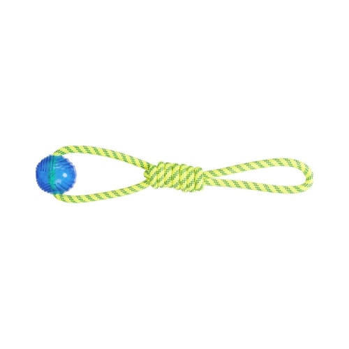 Playing Rope with Ball 3