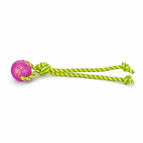 Trixie leikreipi með bolta