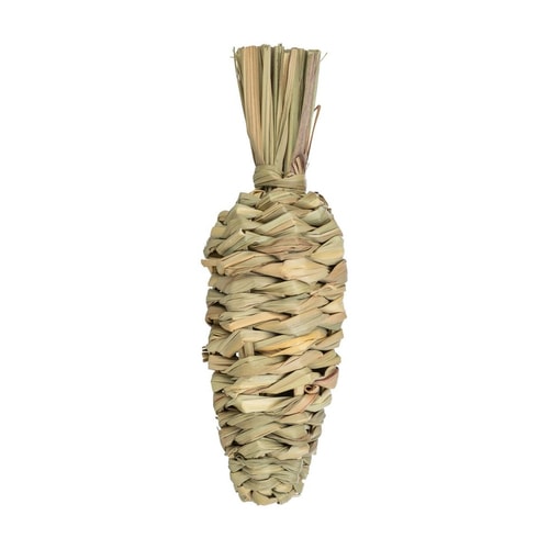 Carrot grass 20cm/6cm 3