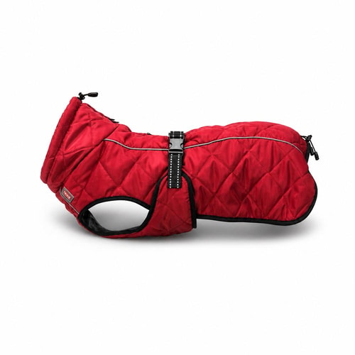 Trixie Minot hundakápa – ólífugræn, S 36 cm