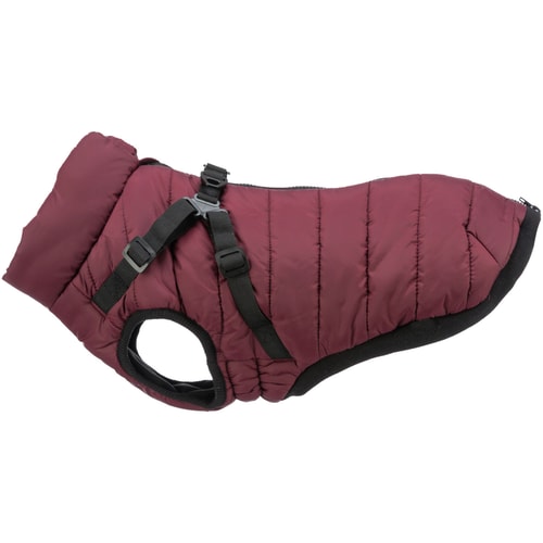 Pirou winter coat w.harn.XS:27 cm sangri 1