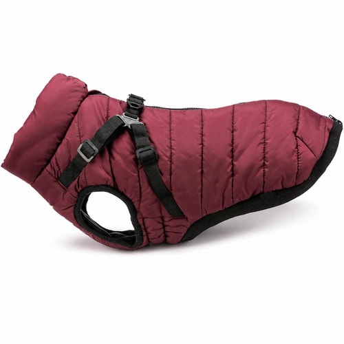 Pirou winter coat w.harn.XS:27 cm sangri 1