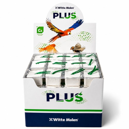 Energy block S white
