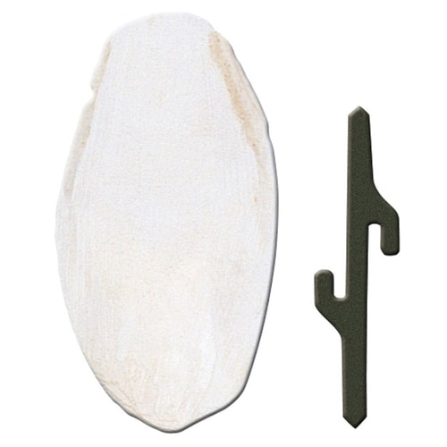 Pa 4330 Cuttlebone Small