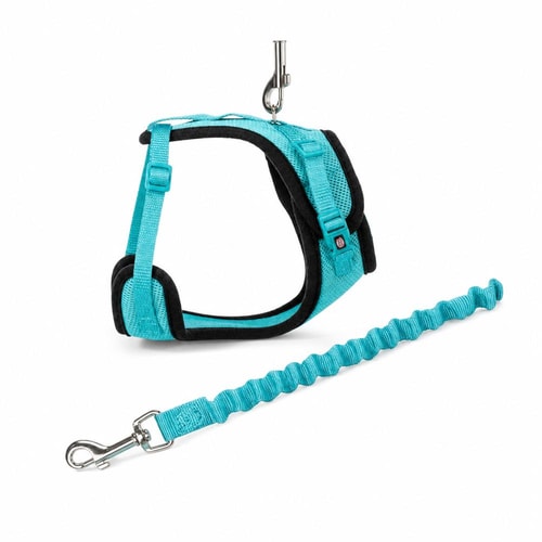 Trixie Y-beisli úr neti fyrir ketti með taum – 39–60 cm