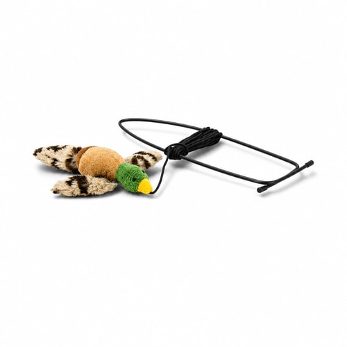 Fljúgandi fugl í hurðakarm 13c