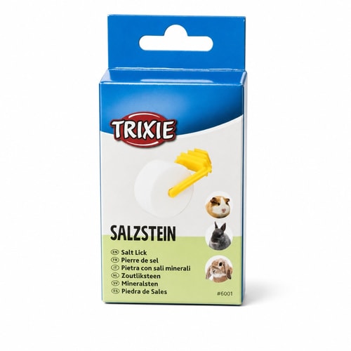 Saltsteinn með búrfestingu 84g