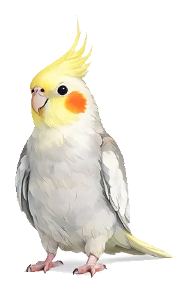 Dísarfugl