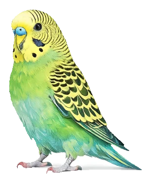 Fuglar