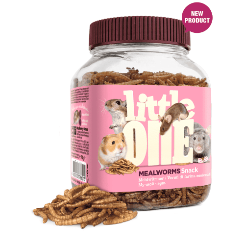 Little One Mealworms. 70G