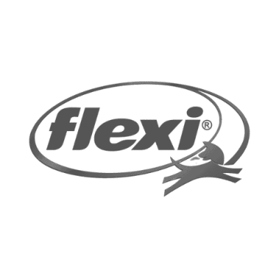 Flexi logo