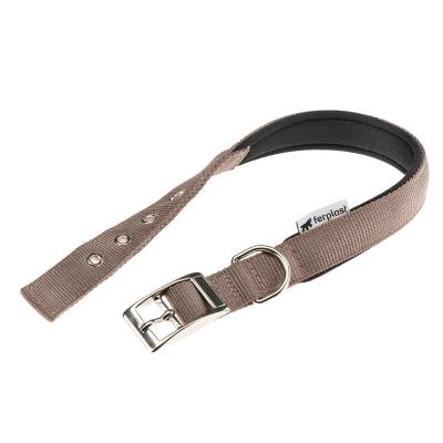 Daytona C25/53 Collar Brown