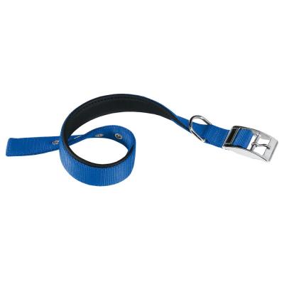 Daytona C25/53 Collar Blue