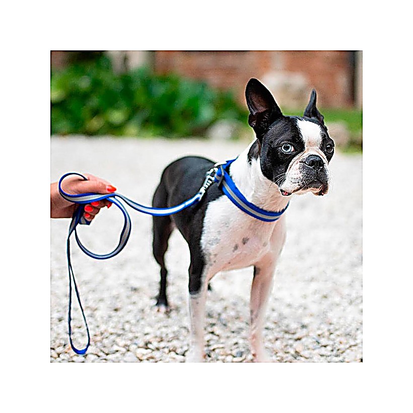 FP75250317|20000 CLUB REFLEX 20/56 Svart COLLAR