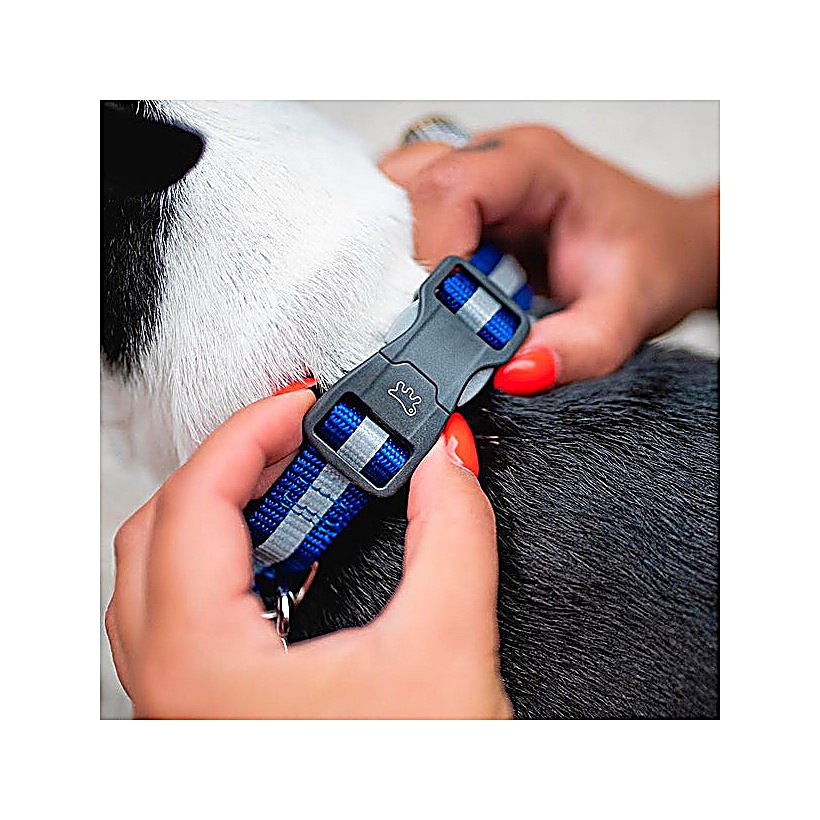 FP75250317|30000 CLUB REFLEX 20/56 Svart COLLAR