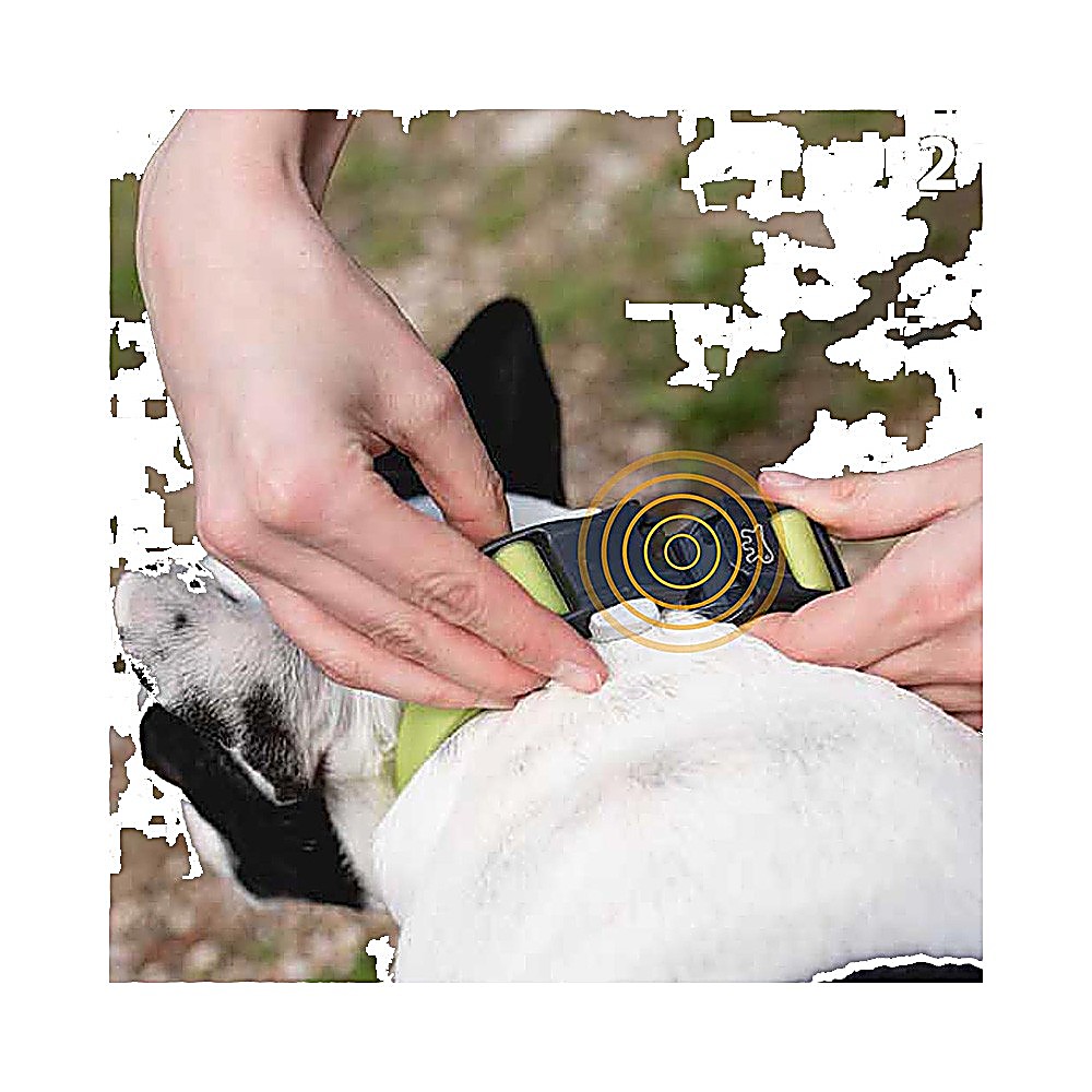 FP75250417|40000 CLUB REFLEX 25/70 Svart COLLAR