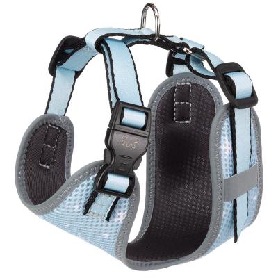 Nikita P Xs Harness Puppy