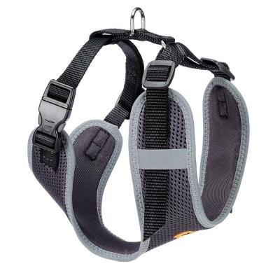 NIKITA P S HARNESS Svart