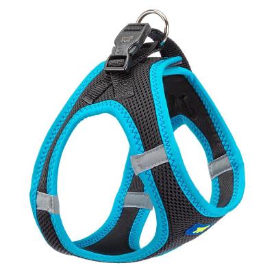 KAORI P M HARNESS Svart/BLUE