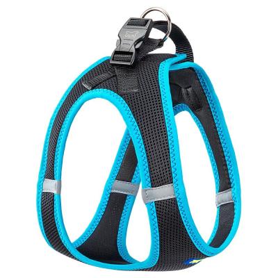 KAORI P XL HARNESS Svart/BLUE