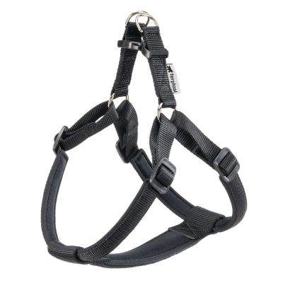 Daytona P Xl Harness Blk